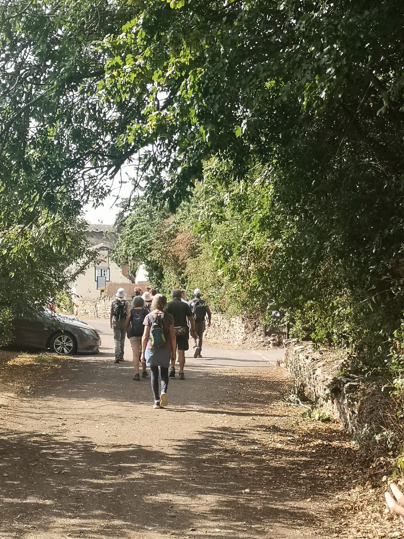 Picnic walk